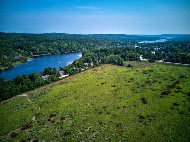 00 N M-88, Central Lake, MI 49622