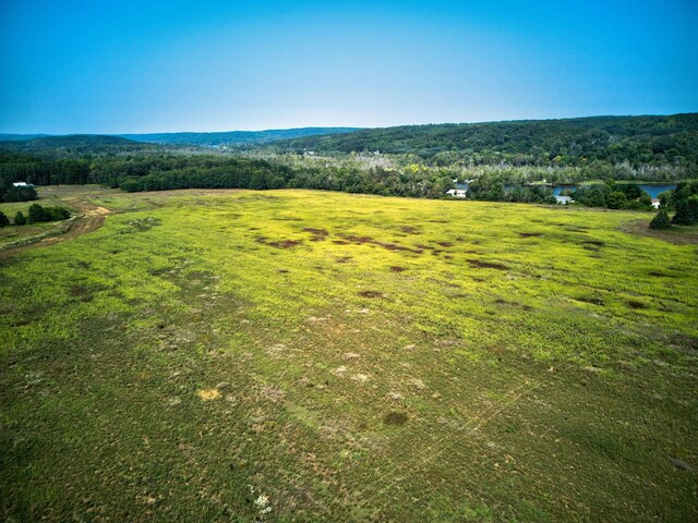 00 N M-88, Central Lake, MI 49622