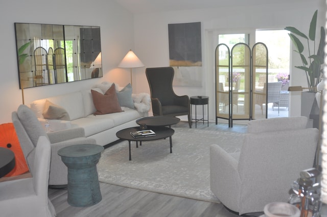 living room with hardwood / wood-style flooring and plenty of natural light