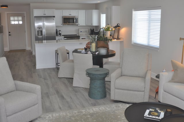 living room featuring a healthy amount of sunlight and light hardwood / wood-style flooring