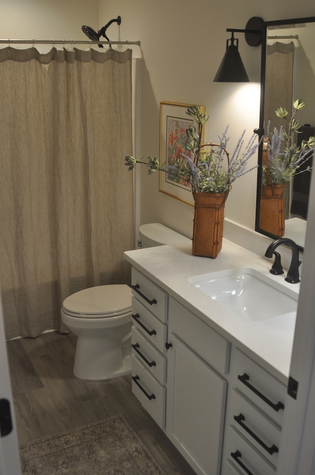 bathroom featuring vanity, wood-type flooring, and toilet