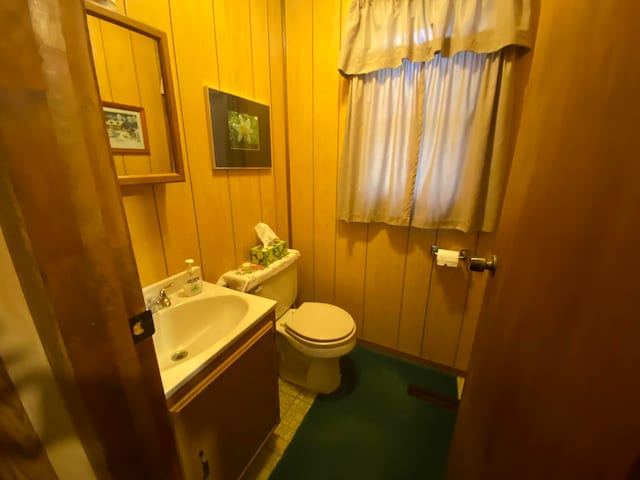 bathroom with vanity, toilet, and wooden walls