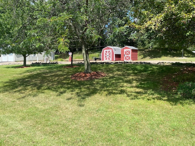 view of yard featuring a shed