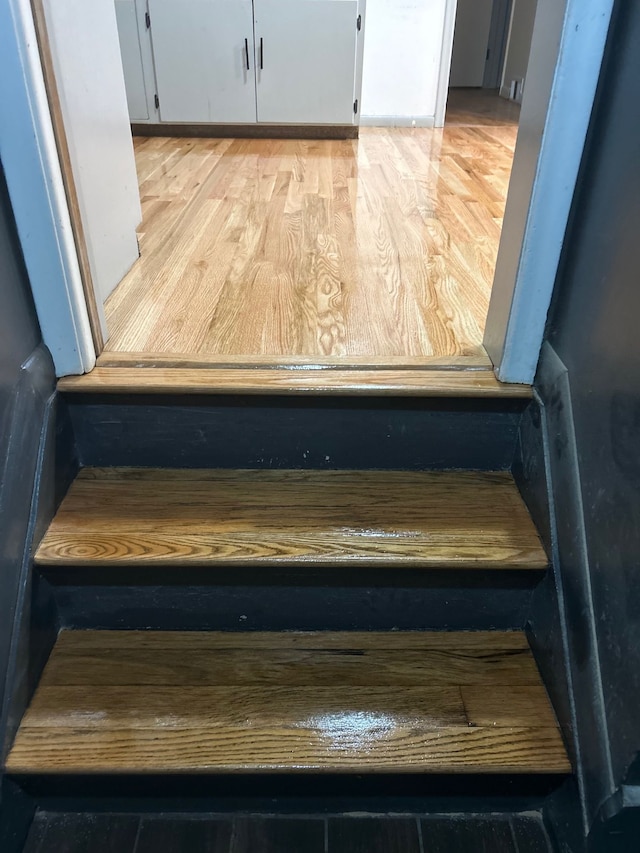 staircase with hardwood / wood-style flooring