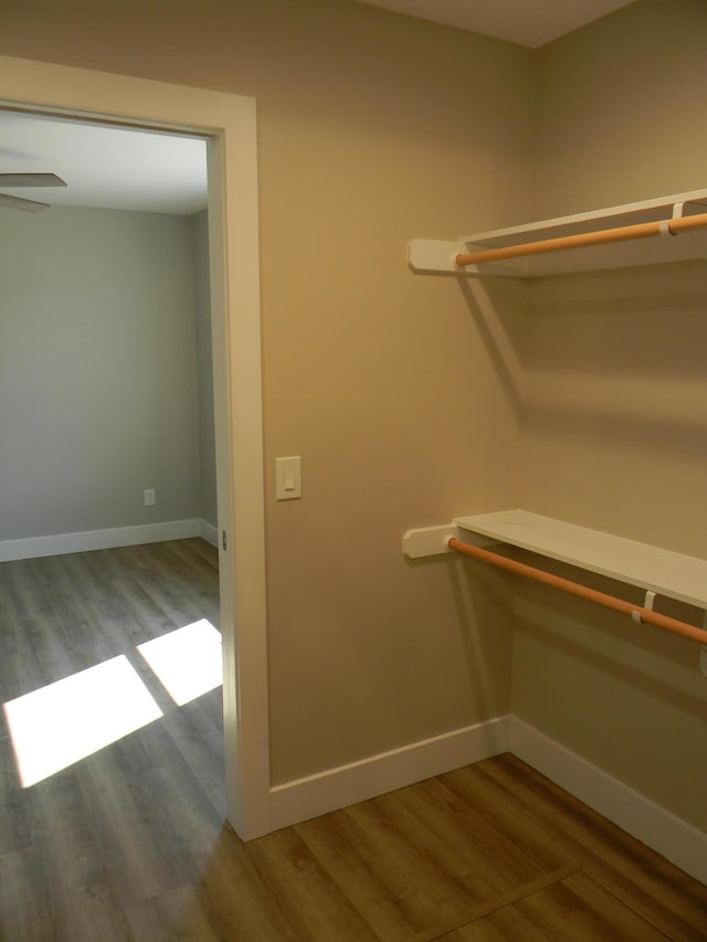 spacious closet with wood-type flooring