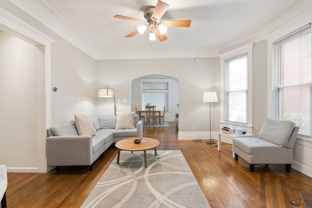 living room featuring ceiling fan, crown molding, and dark hardwood / wood-style floors