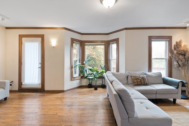 living room featuring ornamental molding, light hardwood / wood-style flooring, and a healthy amount of sunlight