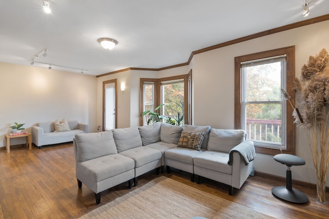 living room with hardwood / wood-style floors, rail lighting, a wealth of natural light, and ornamental molding