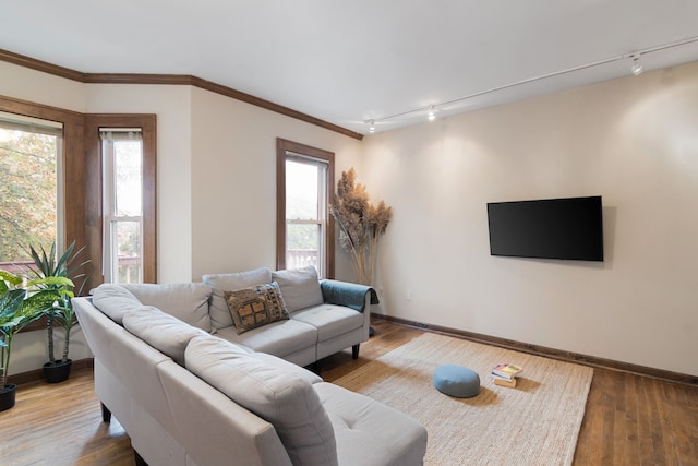 living room with hardwood / wood-style floors, rail lighting, and ornamental molding