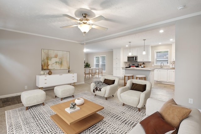 living room with crown molding, sink, and a textured ceiling