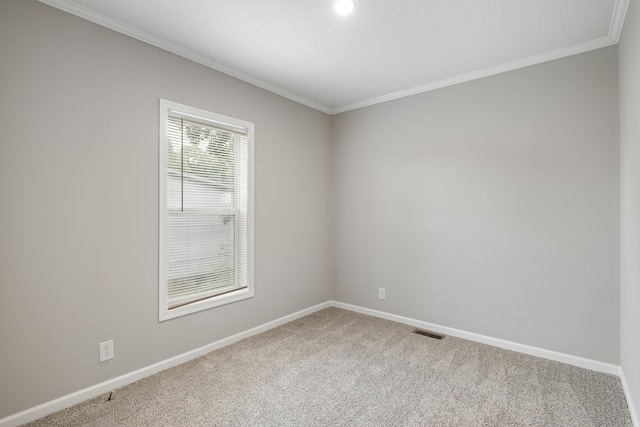 spare room featuring carpet and ornamental molding