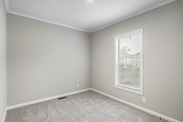 spare room with plenty of natural light, carpet, and ornamental molding