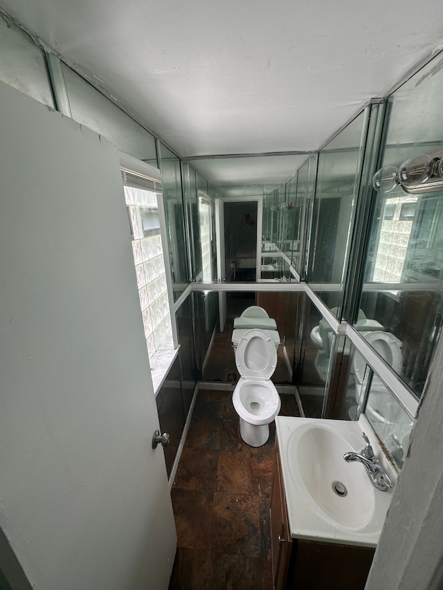 bathroom with vanity, a healthy amount of sunlight, and toilet