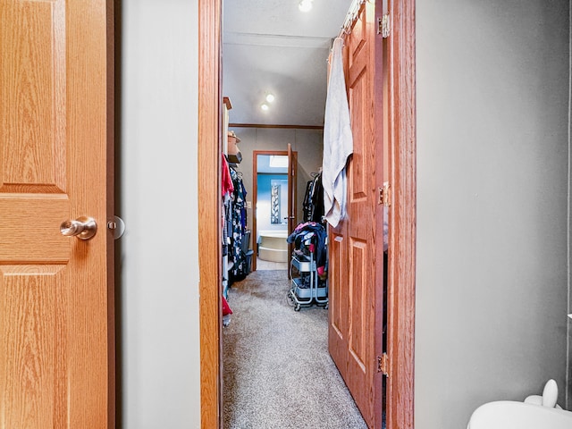 corridor featuring carpet floors and ornamental molding