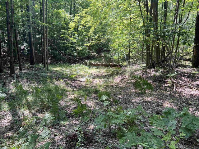 000 Huffman St, Prescott, MI 48756
