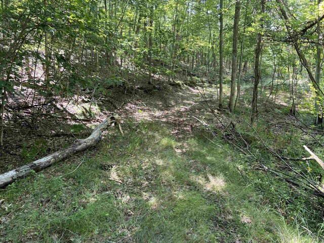 000 Huffman St, Prescott, MI 48756