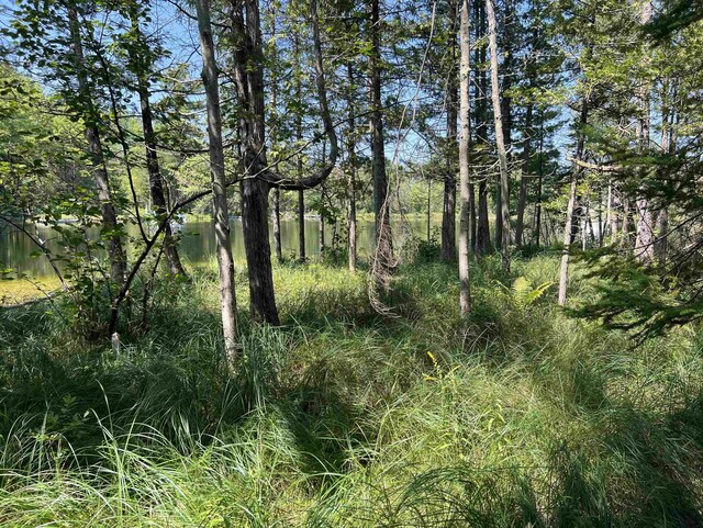 000 Huffman St, Prescott, MI 48756