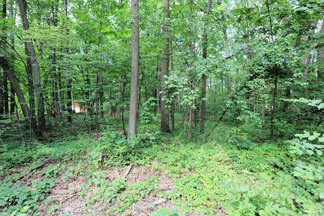 6334 Brewer Rd, Flint, MI 48507