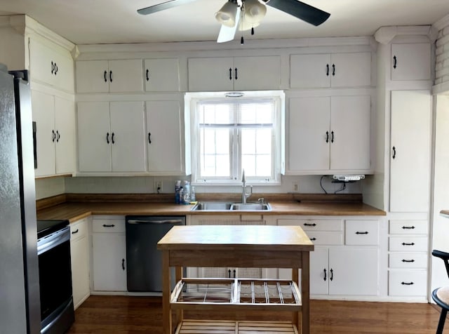 6513 Kruger Rd, Three Oaks, MI 49128 - kitchen featuring appliances with stainless steel finishes, a sink, a ceiling fan, dark wood-style floors, and white cabinets