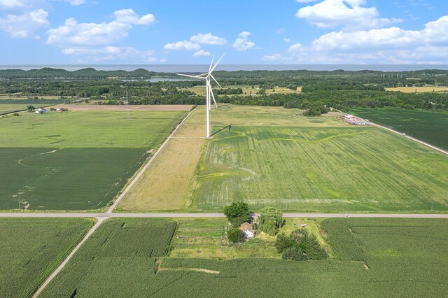 6542 S Brye Rd, Ludington, MI 49431 - aerial view of sparsely populated area