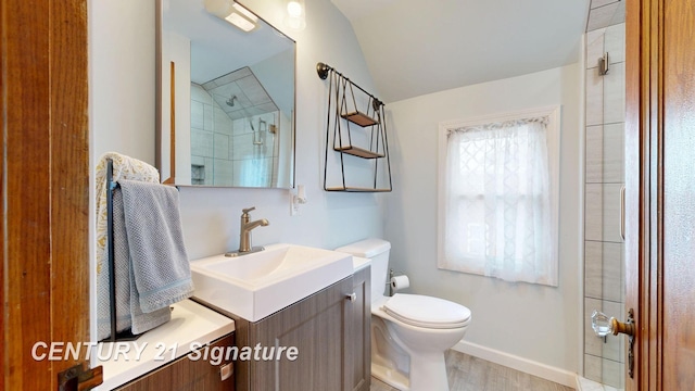 bathroom with vanity, wood-type flooring, vaulted ceiling, toilet, and walk in shower