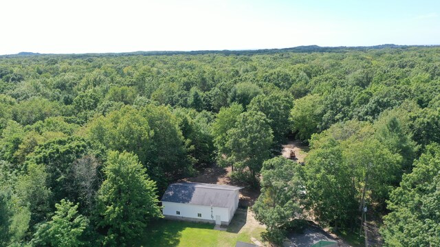 2717 N Sherman Rd, Ludington, MI 49431 - view of subject property featuring a heavily wooded area