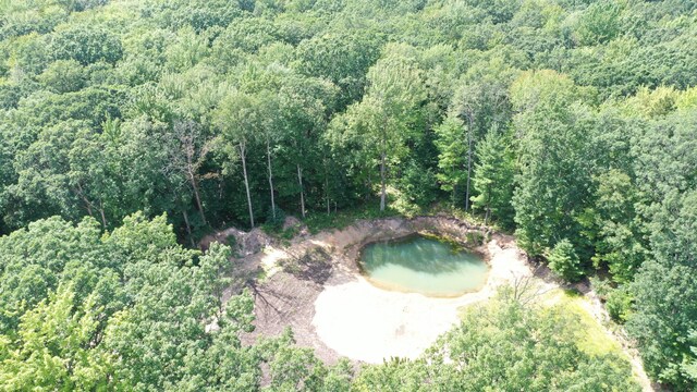 2717 N Sherman Rd, Ludington, MI 49431 - aerial overview of property's location featuring a forest