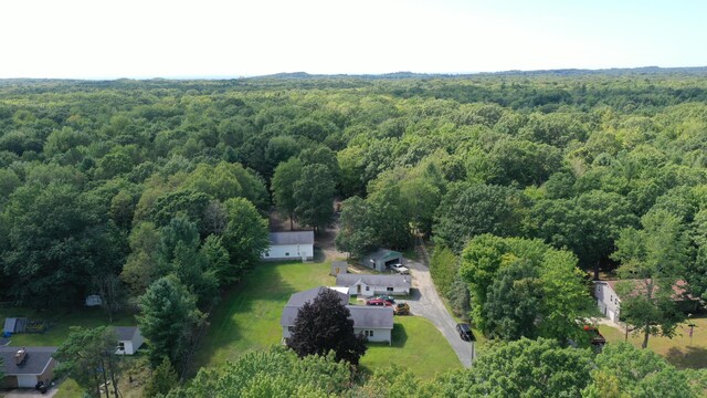 2717 N Sherman Rd, Ludington, MI 49431 - bird's eye view of a forest