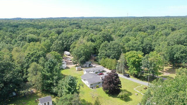 2717 N Sherman Rd, Ludington, MI 49431 - bird's eye view of a heavily wooded area