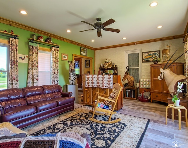 living room featuring ceiling fan, light hardwood / wood-style floors, and ornamental molding