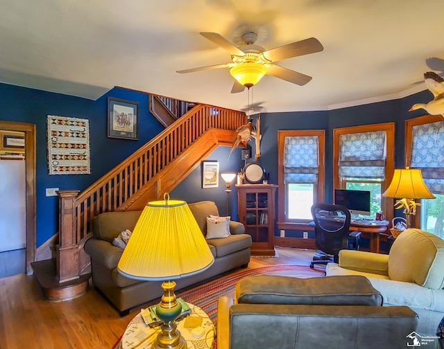 living room with hardwood / wood-style flooring, ceiling fan, and ornamental molding