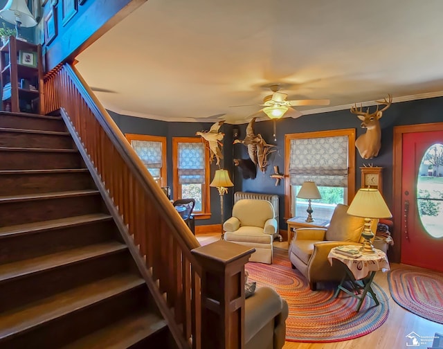 living room with ceiling fan, wood-type flooring, and crown molding