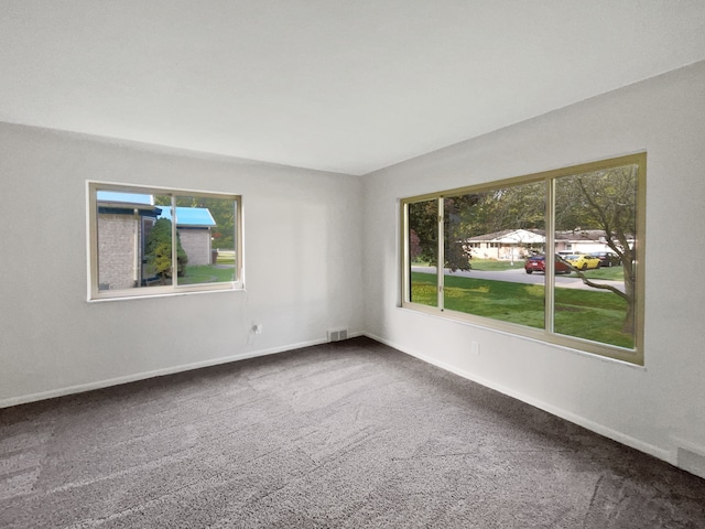 unfurnished room featuring carpet and plenty of natural light