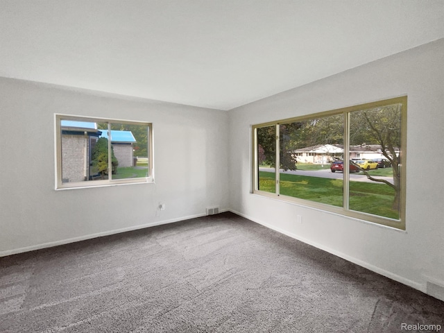53044 Ruann Dr, Shelby Twp, MI 48316 - unfurnished room featuring plenty of natural light and carpet flooring
