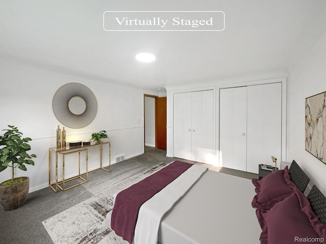 53044 Ruann Dr, Shelby Twp, MI 48316 - bedroom featuring two closets and baseboards