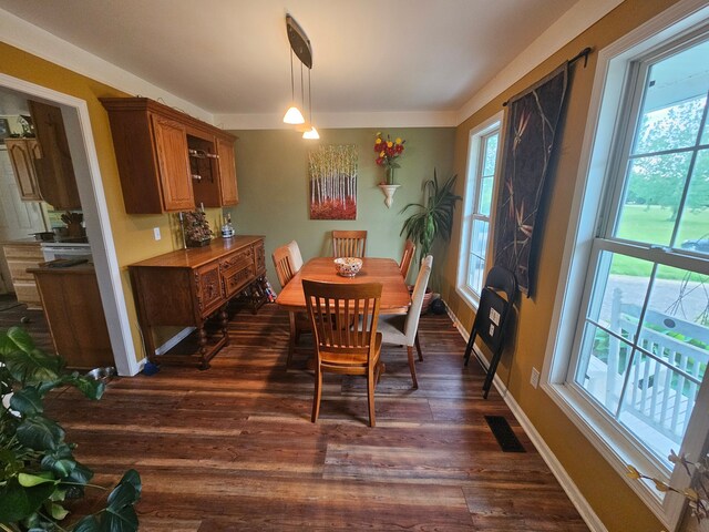 dining room featuring dark hardwood / wood-style floors