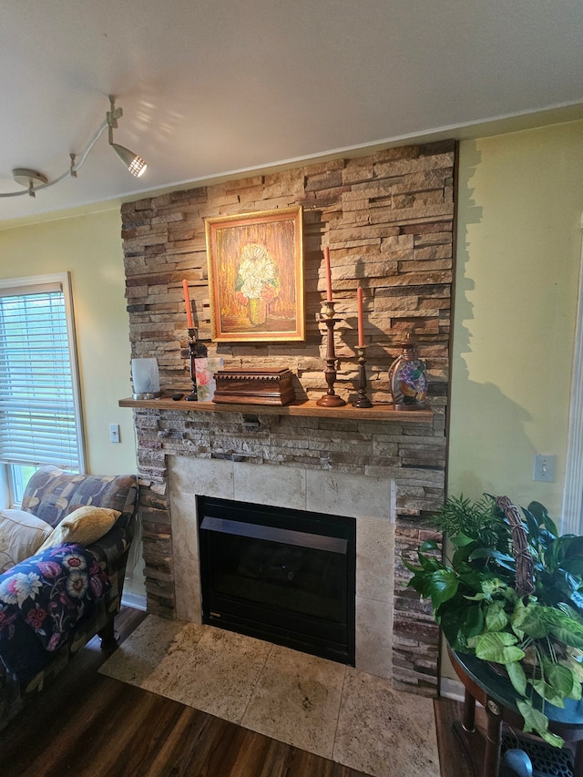 details featuring a fireplace, hardwood / wood-style flooring, and crown molding