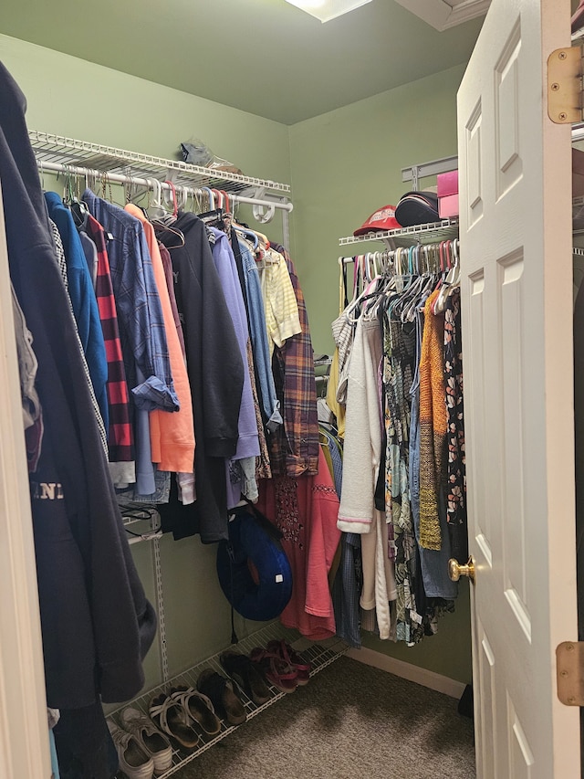 spacious closet featuring carpet floors