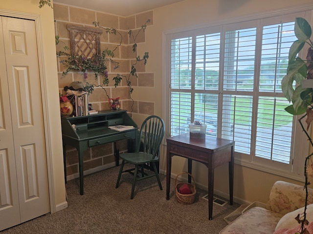 office area featuring a healthy amount of sunlight and carpet floors