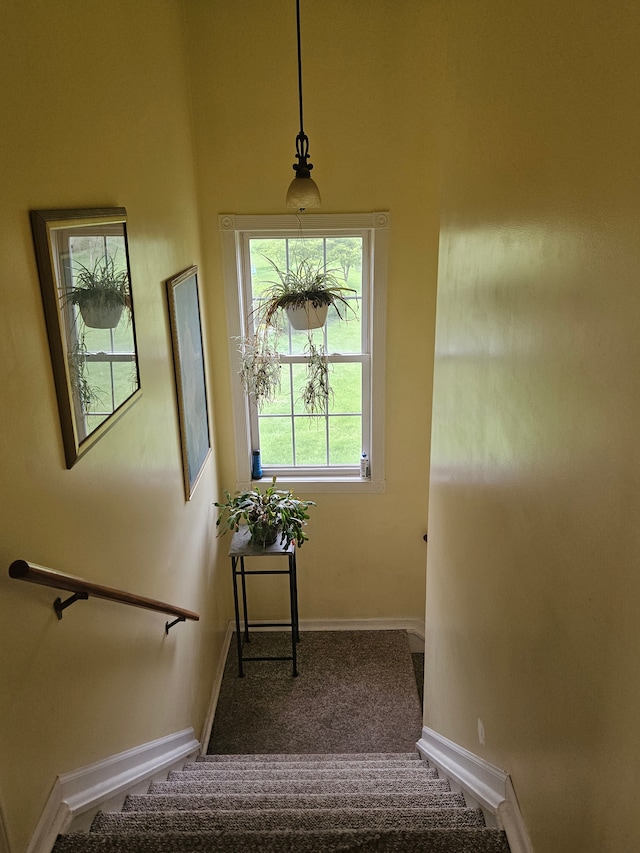 stairway with carpet flooring