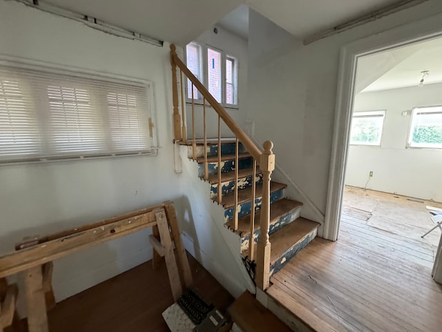 stairway with hardwood / wood-style flooring