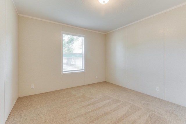 714 Mill St Unit 27, Leslie, MI 49251 - unfurnished room with carpet flooring and crown molding