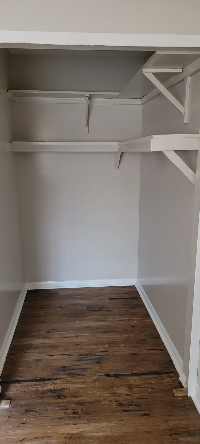 spacious closet featuring dark wood-type flooring