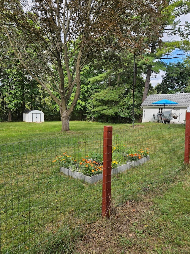 view of yard featuring a shed