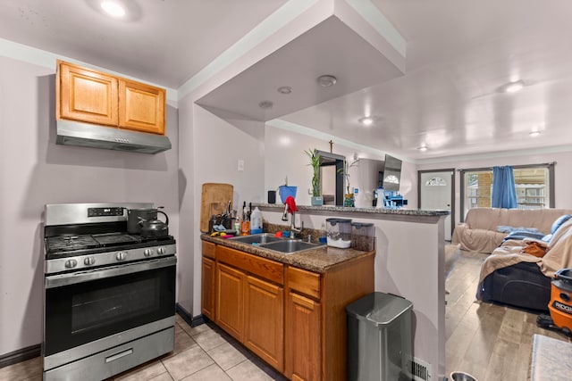 kitchen with sink, light hardwood / wood-style flooring, and stainless steel range oven