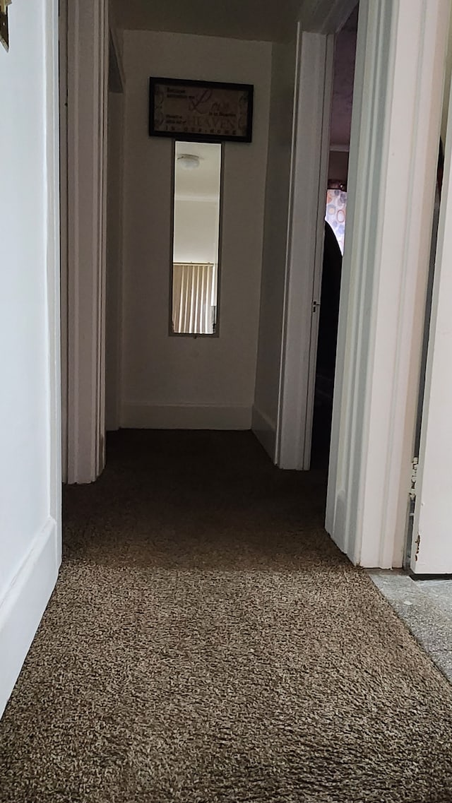 hallway with carpet flooring