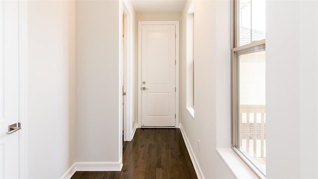 corridor with plenty of natural light and dark hardwood / wood-style floors