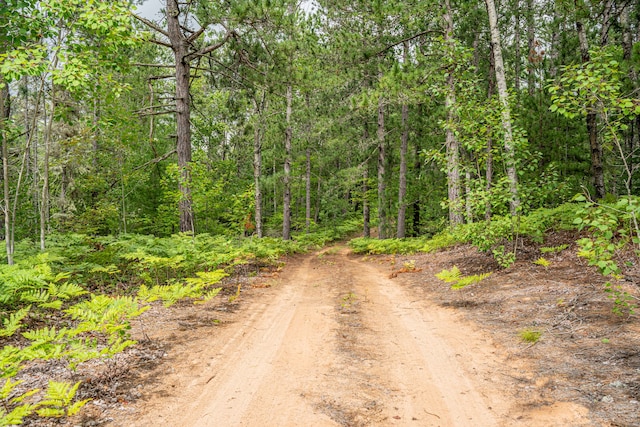 view of road