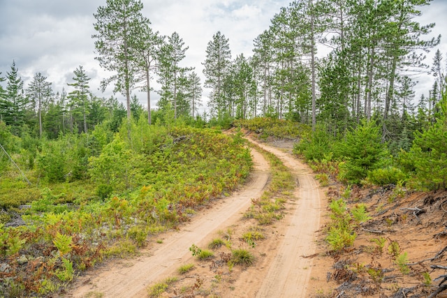 view of road