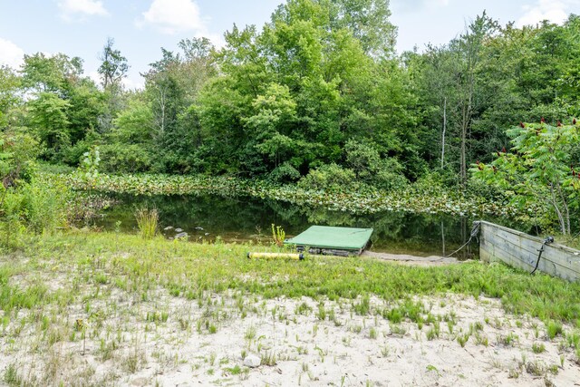 5419 N Watervliet Rd, Watervliet, MI 49098 - view of yard